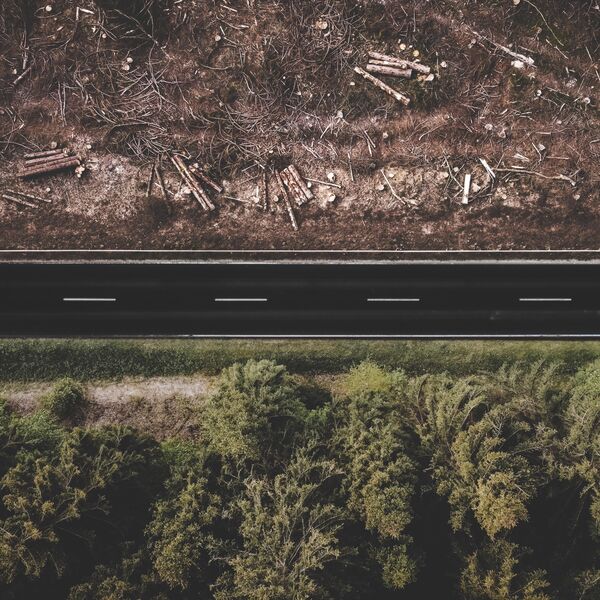 the-roots-of-our-planet